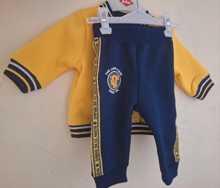 Ensemble roi lion