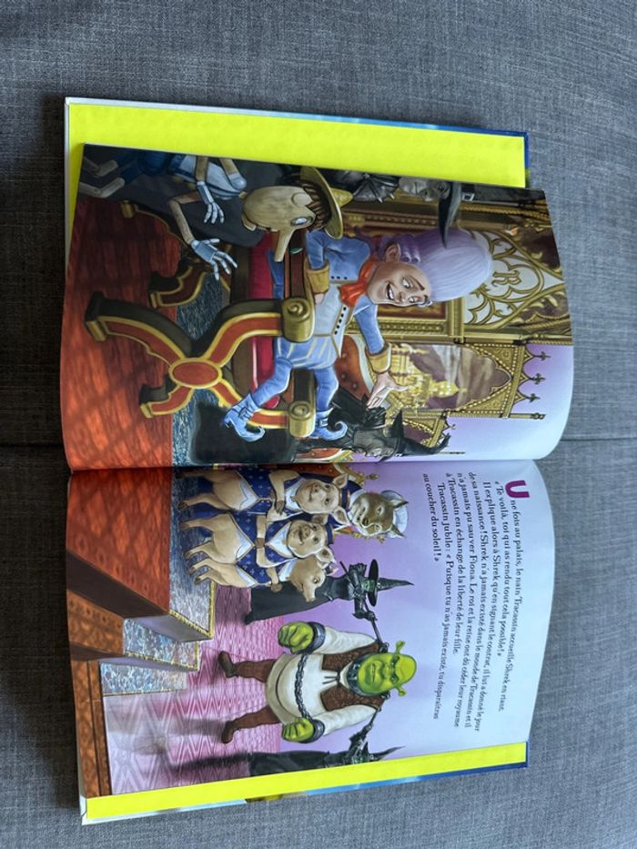 Shrek 4 il etait une fin - photo numéro 2
