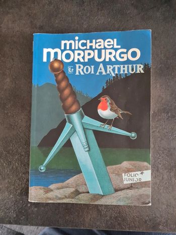 Le roi Arthur livre junior