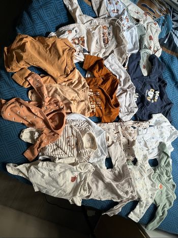 Lot bodies