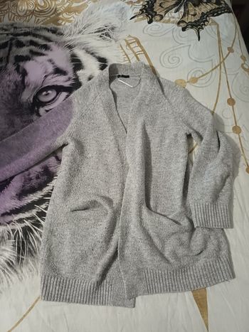 Gilet gris 