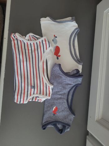 Lot de 3 bodys manche courte 9 mois