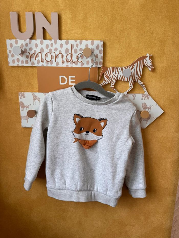Pull 36 mois