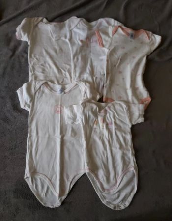 Lot 5 bodies