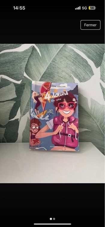 Livre 4 sœurs 