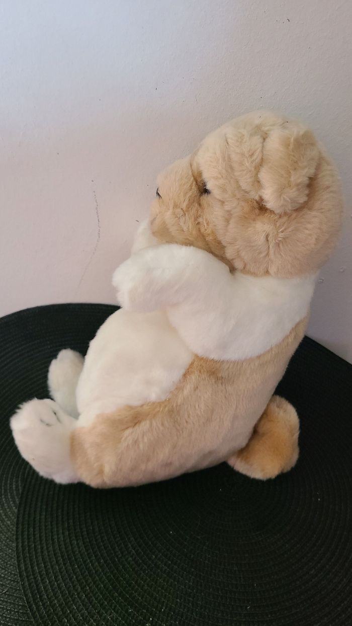 Peluche chien - Sharpei -ou autre CP - photo numéro 4