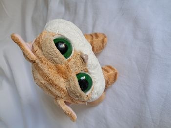 Peluche nounours chat roux orange tigré yeux verts Chilie Russ Berrie