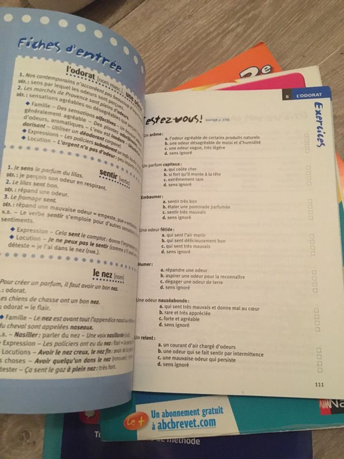 Français berlinbrevet 4 eme 3 eme - photo numéro 3
