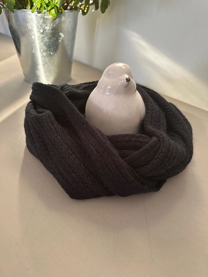 Tour de cou noir - photo numéro 4