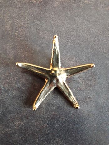 Pendentif étoilé de mer handmade