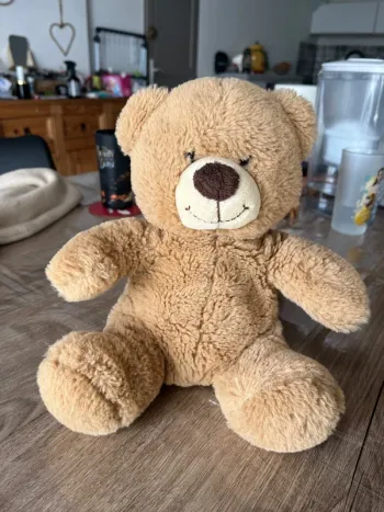Ours en peluche