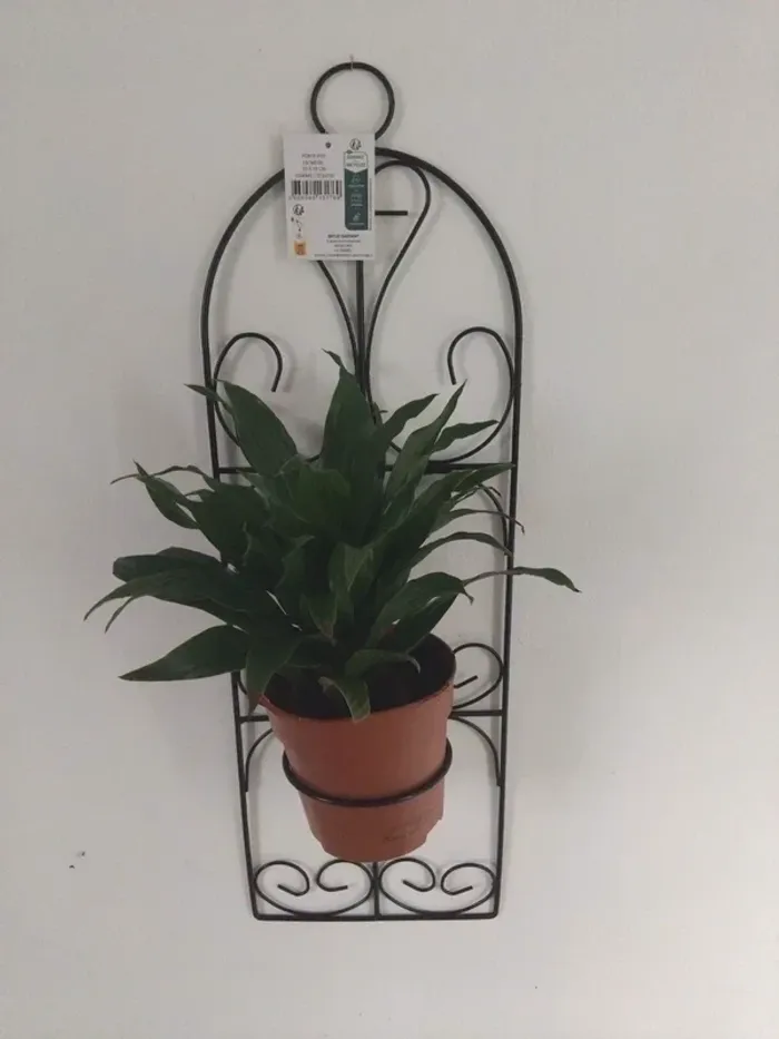 Art végétal mural, porte-plante en métal unique