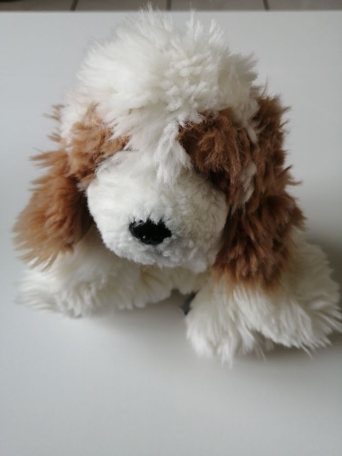 lot livre et peluche chien - photo numéro 10