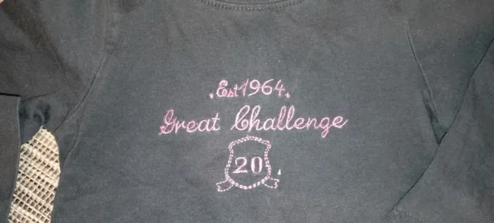 Lot de 5 t-shirts ML 18M - photo numéro 9