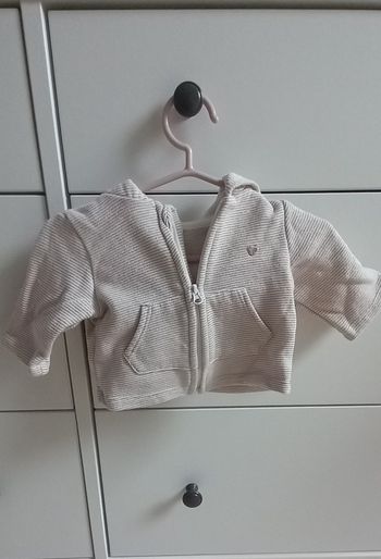 Gilets à fermeture eclaire