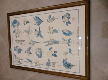 tableau fleurs de la Martinique 75 x 55 cm