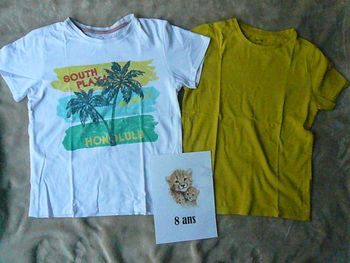 Lot de 2 tee-shirts 8 ans (n°40)