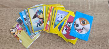 10 vignettes pat patrouille 