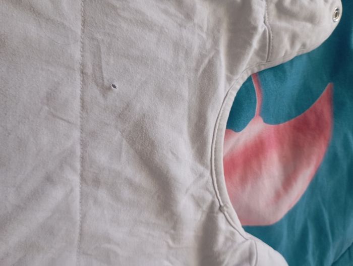 Chancelière - photo numéro 5