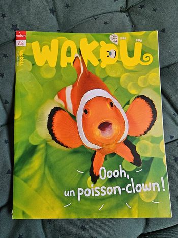 Magazine Wakou