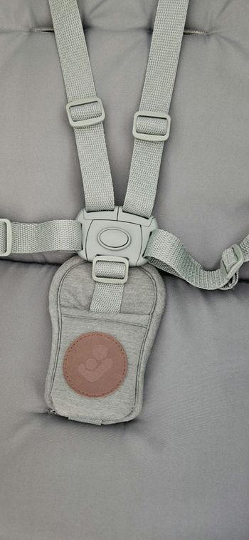 Maxi cosi alba + plateau repas