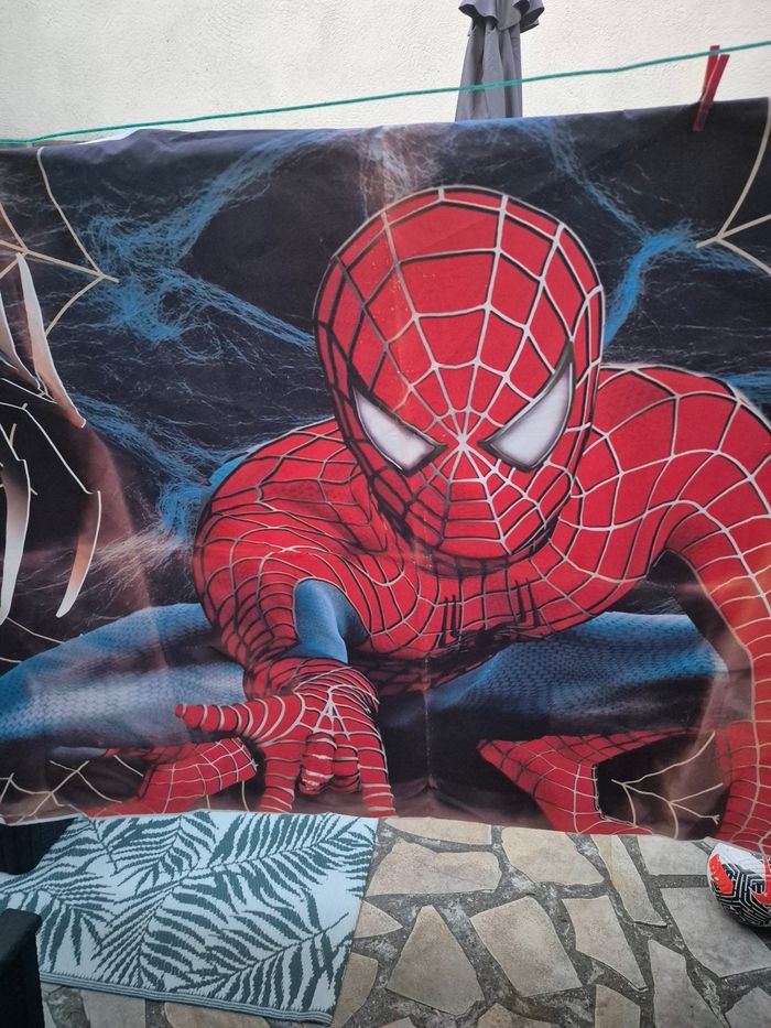 Toile spiderman