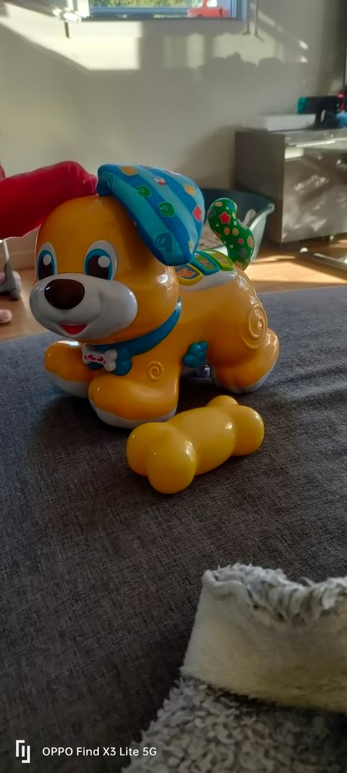 Chien avec os pour qu'il bouge
