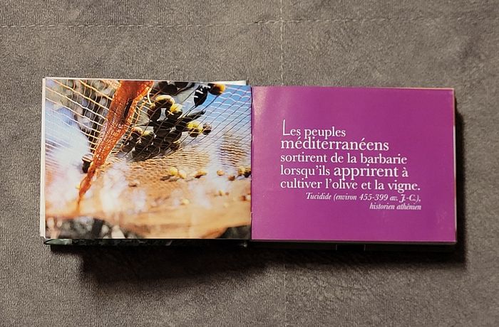 Huiles et arômes - Pensées, citations et recettes Allegrio, Aurélie Blain (Traduction) - photo numéro 3