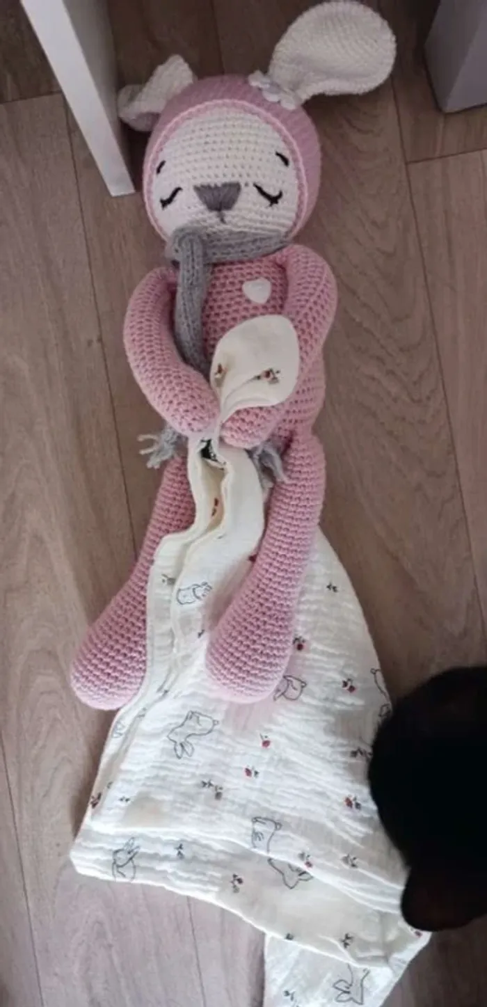 Doudou - photo numéro 2