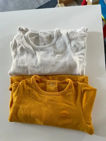 Bodies