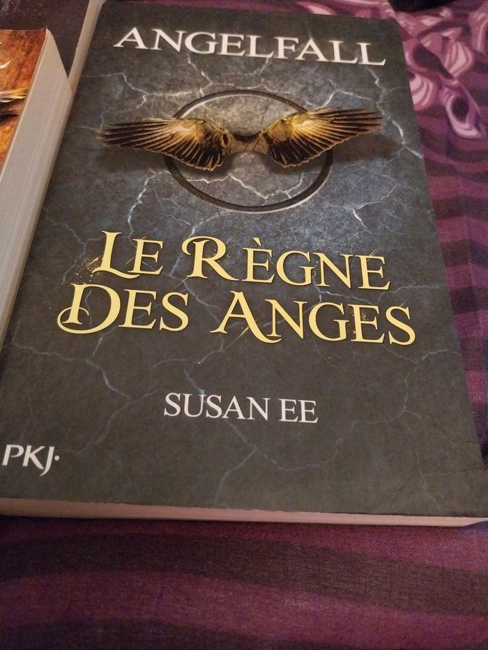 Romans Trilogie complète Angelfall tomes 1 à 3 Susan Ee Pocket Jeunesse - photo numéro 3