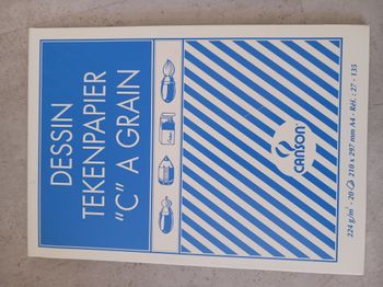 Feuilles à dessin C à grain 224g/m2 A4 Canson