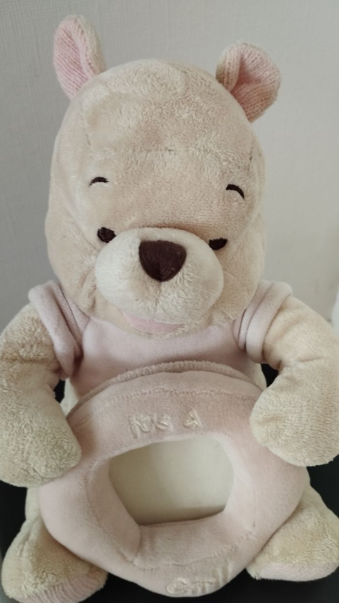 Winnie l'ourson de Disneyland - photo numéro 2