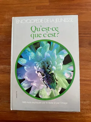 Livre encyclopédie de la jeunesse qu’est-ce que c’est?