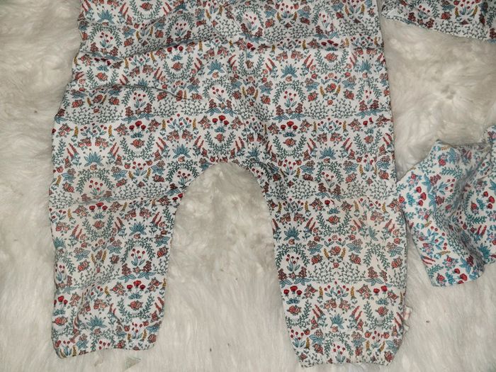 Lot fraises - photo numéro 2