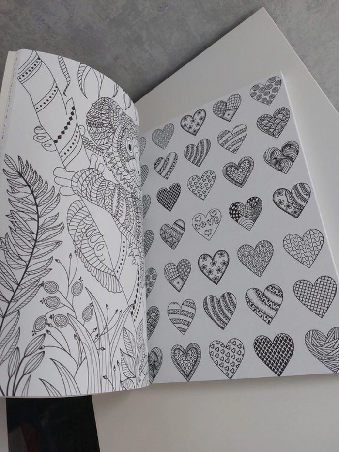Livre coloriage pour adulte anti stress - photo numéro 10