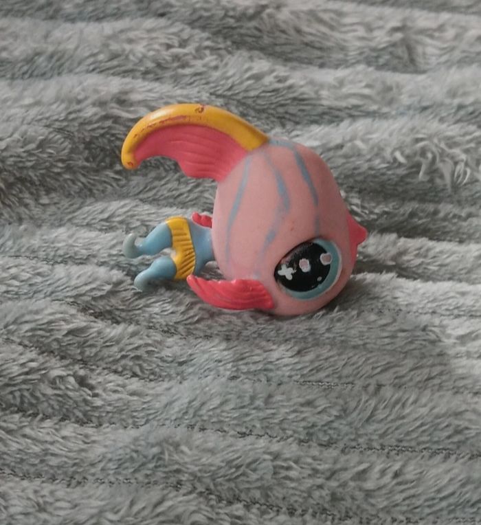 Petshop poisson 884 - photo numéro 2