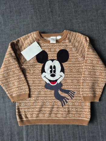 Pull bébé garçon neuf
