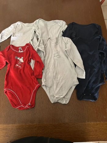Lot 6 bodies