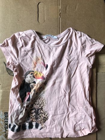 T shirt