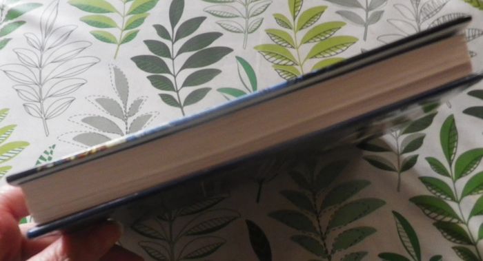 La nuit des hulottes de Gilbert Bordes Ed. France Loisirs - photo numéro 4