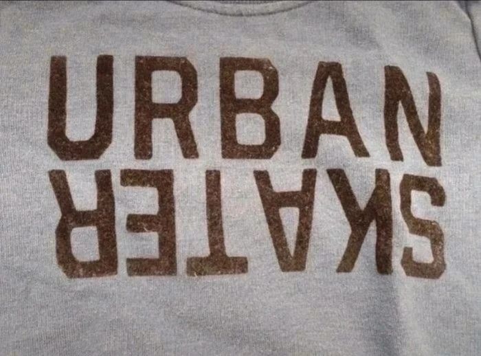 Sweat bleu Lupilu 2 - 4 ans - photo numéro 2