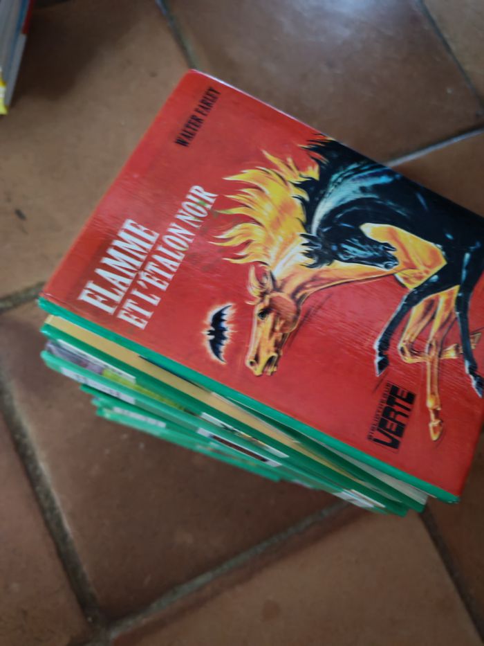 Bibliothèque Verte livres en lot ou à l’unité - photo numéro 8