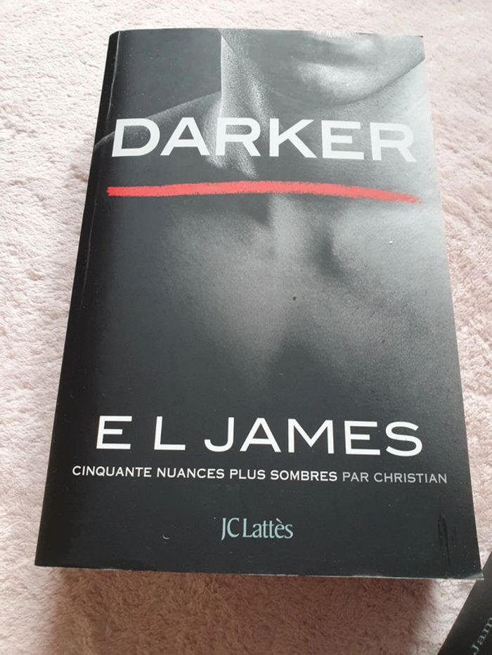 Cinquantes nuances de Grey ( les plus claires, les plus sombres) - photo numéro 4