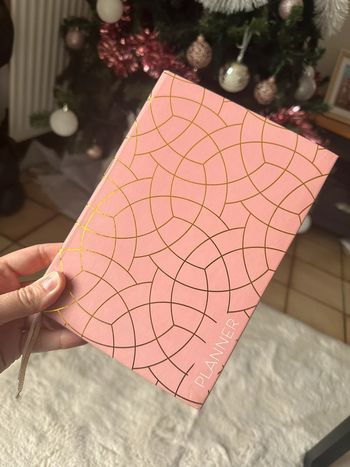 Planner rose