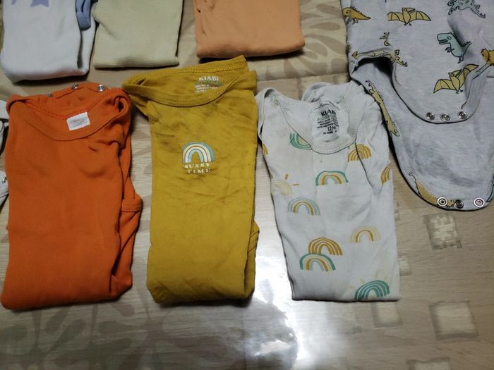 Lot 11 bodis courts 1 an 74 cm - photo numéro 5