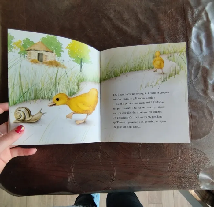 Livre pour enfant - photo numéro 3