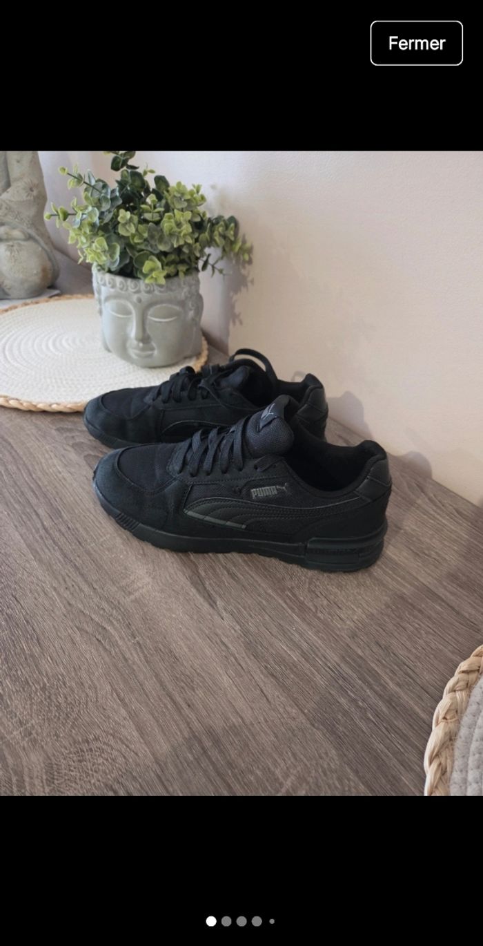 Puma - photo numéro 2