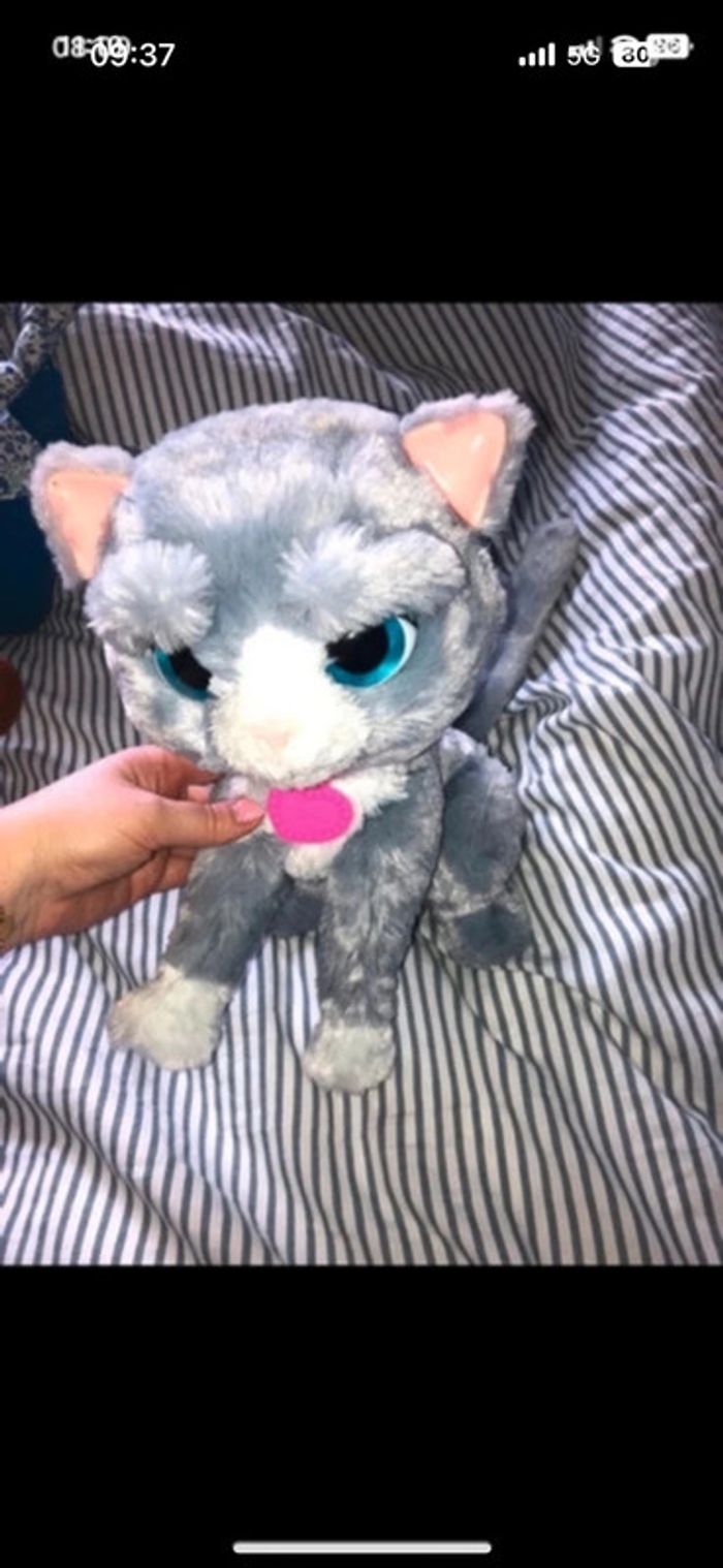 Chat interactif furreal friend