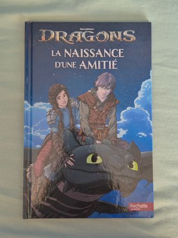 Dragons - La Naissance d'une Amitié 🐲🧒